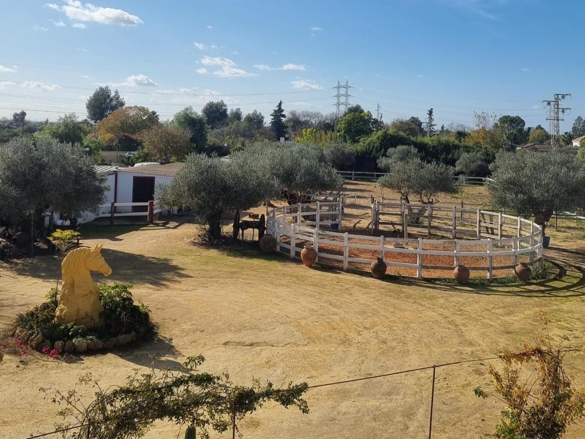 Finca Rural La Canera 16 Huespedes Seville Exterior photo